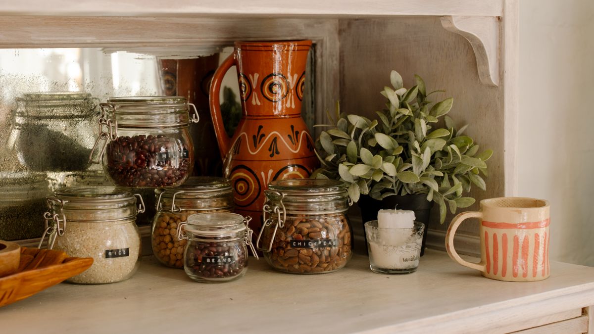 Keep Houseplants Healthy During Darker Winter Months